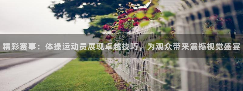 熊猫体育网站