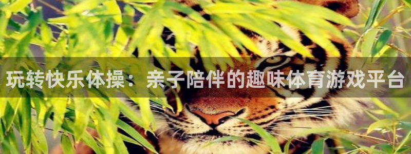 熊猫体育比赛直播