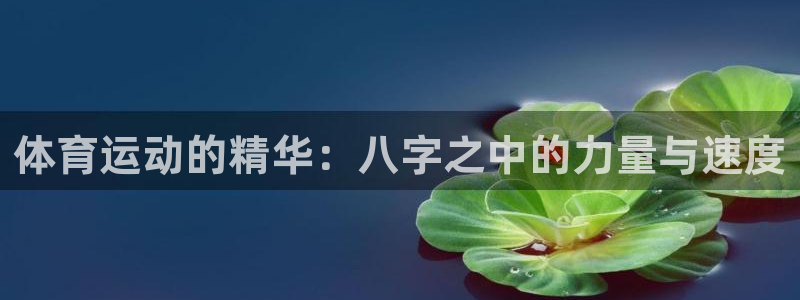 熊猫体育网站