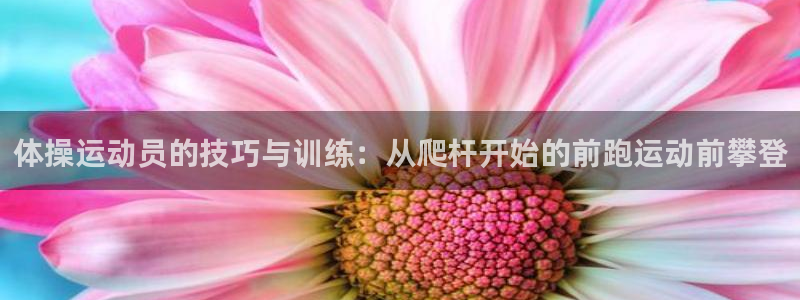熊猫体育官方网站