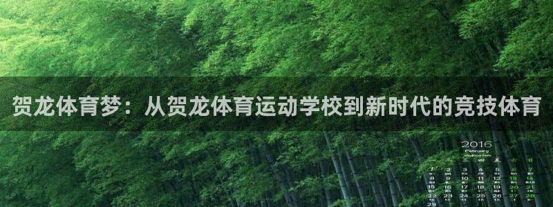 熊猫体育公园价格