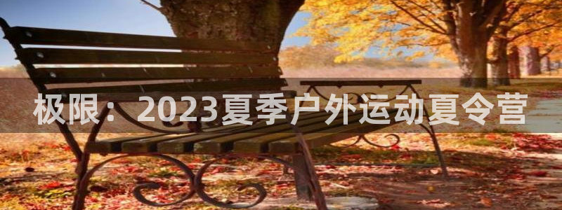 熊猫体育官网首页入口
