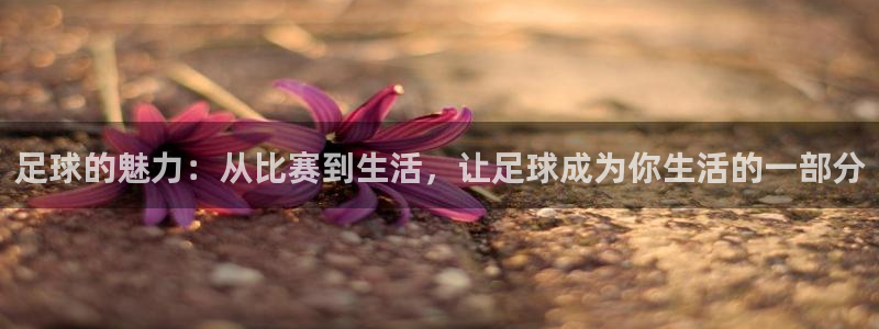 熊猫体育app官方下载最新版