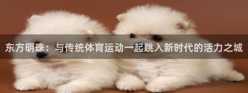 熊猫体育网站