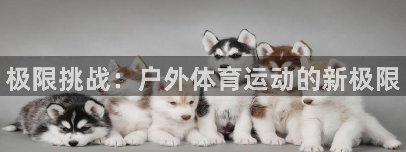 熊猫体育在线观看