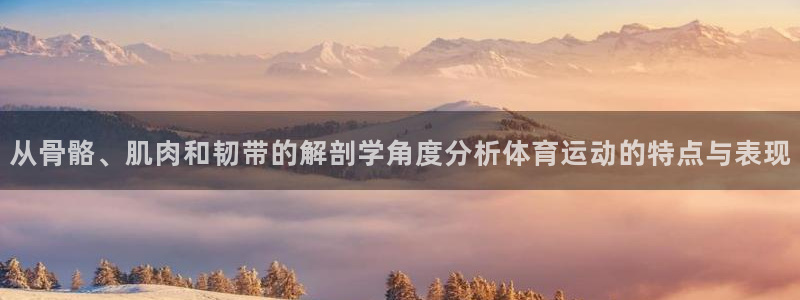 熊猫体育公园