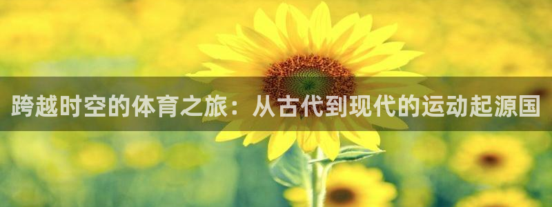 熊猫体育在线观看