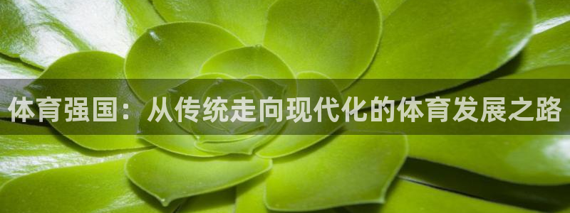 熊猫体育平台