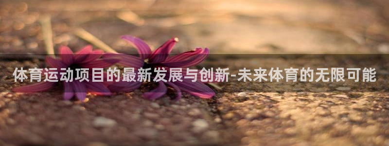 熊猫体育app官网入口
