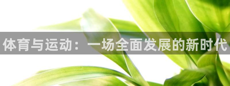 熊猫体育公园